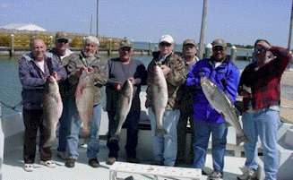 Maryland Striped Bass, Rockfish Caught in the Chesapeake Bay off of Maryland's Eastern Shore!! Sawyer Chesapeake Bay Fishing Charters From Maryland's Eastern Shore!