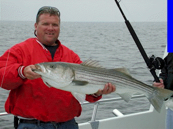 Capt. Dave Schauber - Sawyer Chesapeake Bay Fishing Charters From Maryland's Eastern Shore!