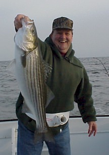 Trophy Striped Bass Caught off of Maryland's Eastern Shore in the Chesapeake Bay