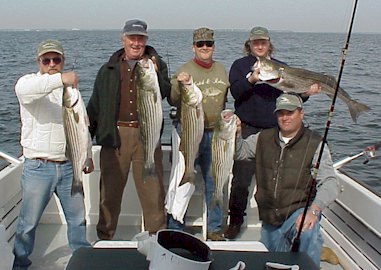 Another full limit of Chesapeake Bay Stripers
