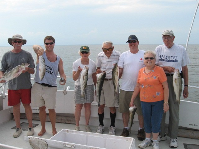 Chesapeake Bay Striped Bass Caught While Live-Lining - Sawyer Chesapeake Bay Fishing Charters From Maryland's Eastern Shore!