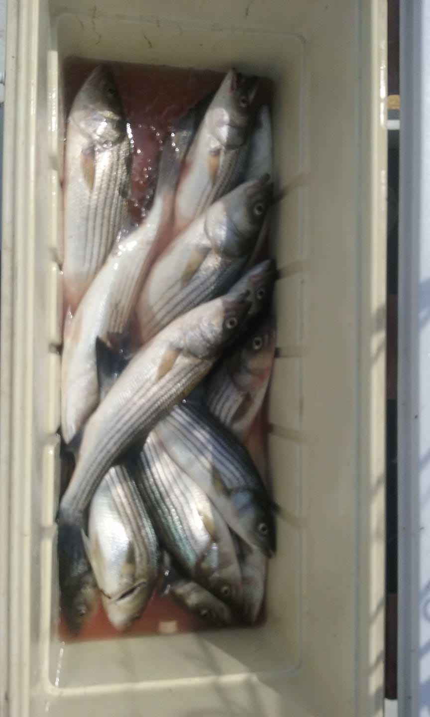 A Load of Fish Caught Right Before The Thunderstorms!