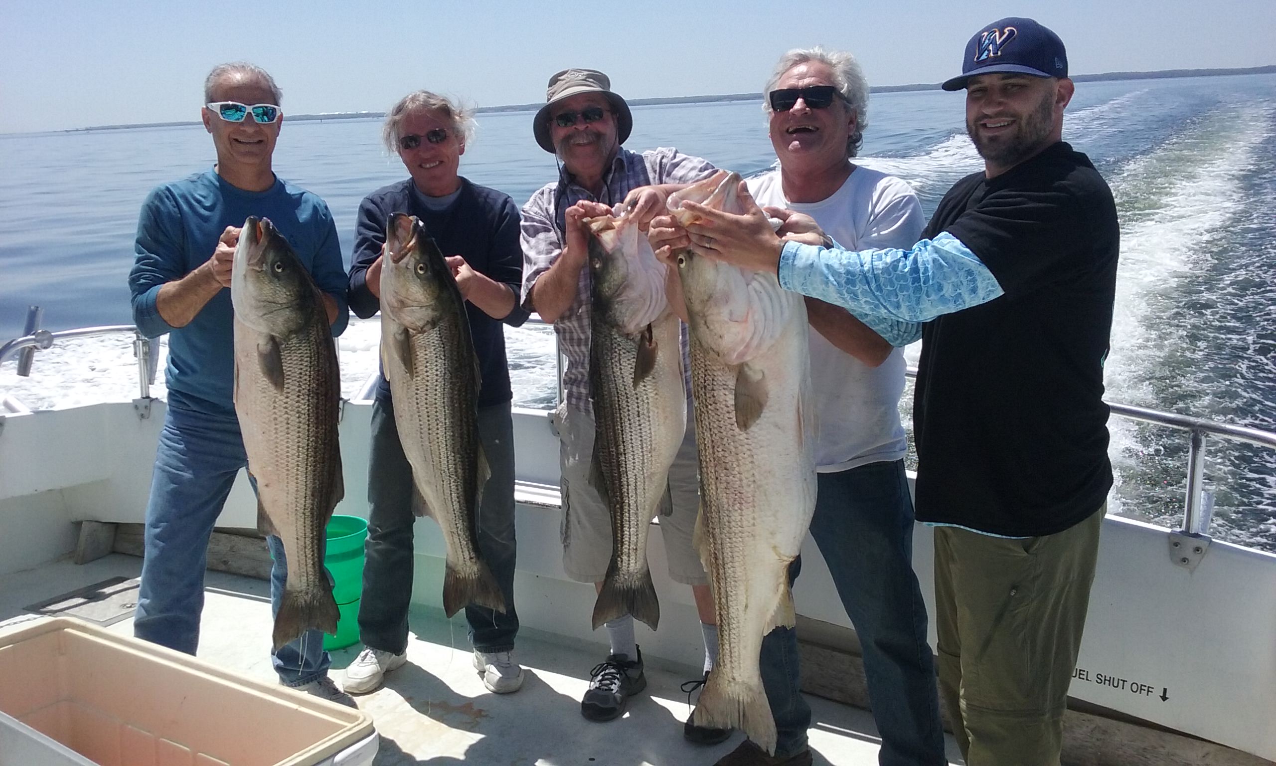 BIG Trophy Rockfish on the Chesapeake Bay