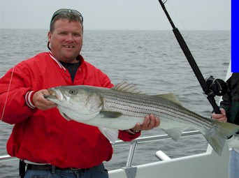 Sawyer Chesapeake Bay Fishing Charters From Maryland's Eastern Shore!