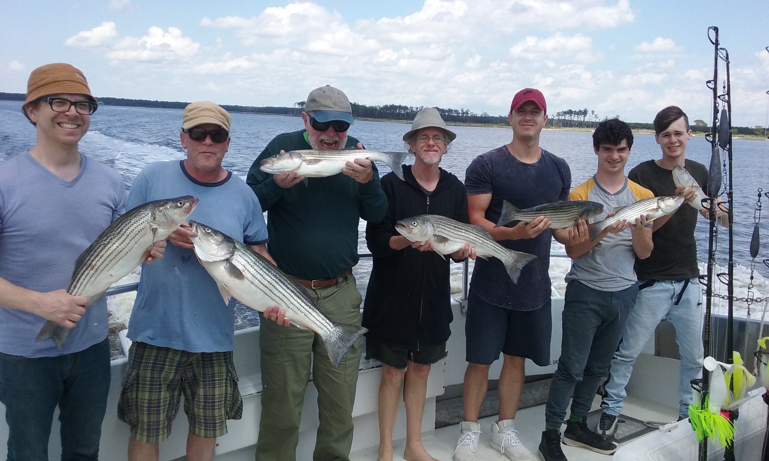 A Limit Of Chesapeake Bay Rockfish!