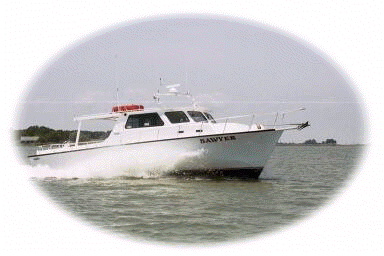 Enjoy the finest Chesapeake Bay Fishing Charters and Tours from Maryland's Eastern Shore!!
