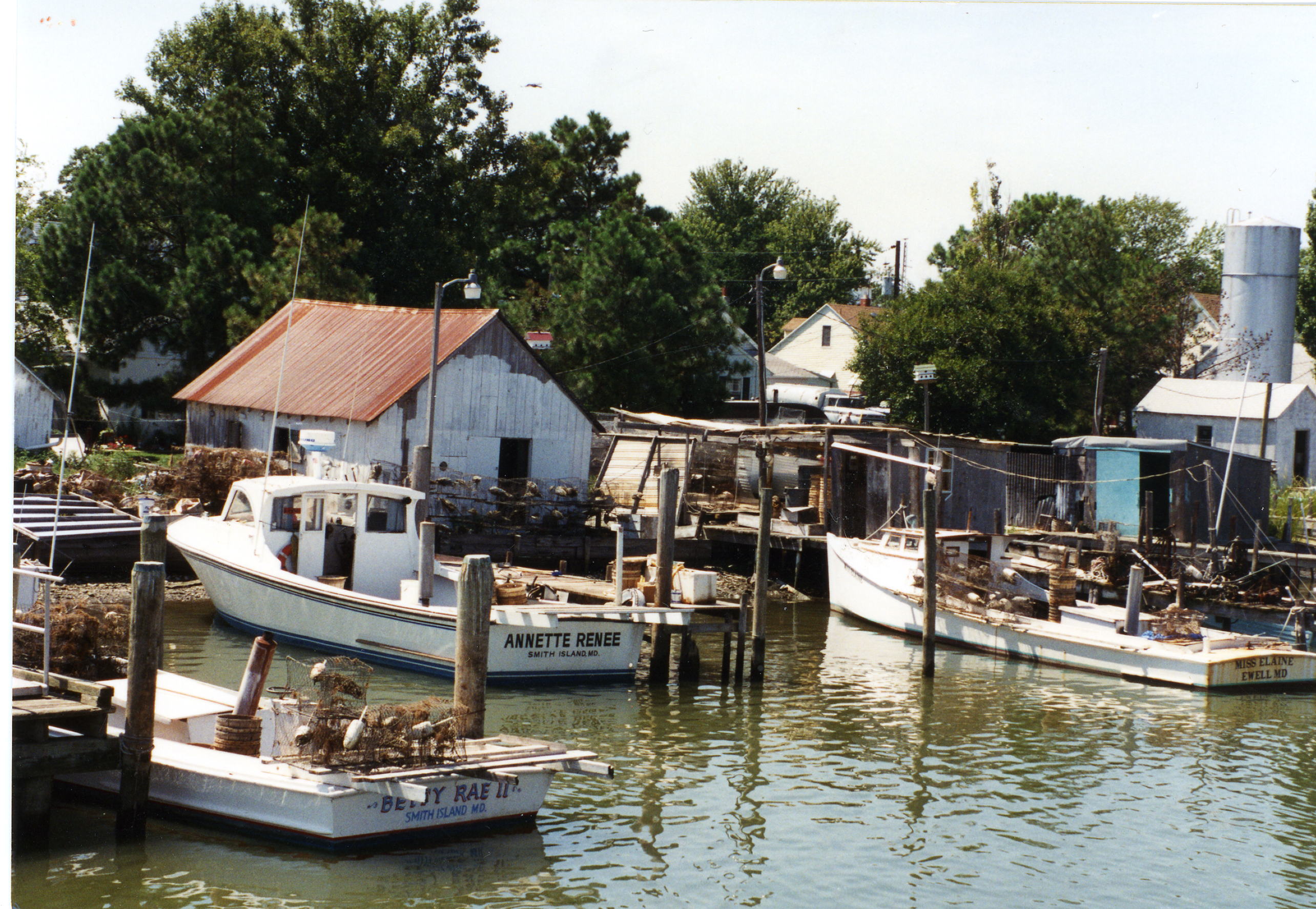 Crabbing Boats on Smith Island