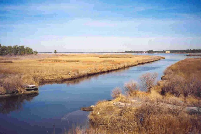 Stewart's Canal / Parsons Creek